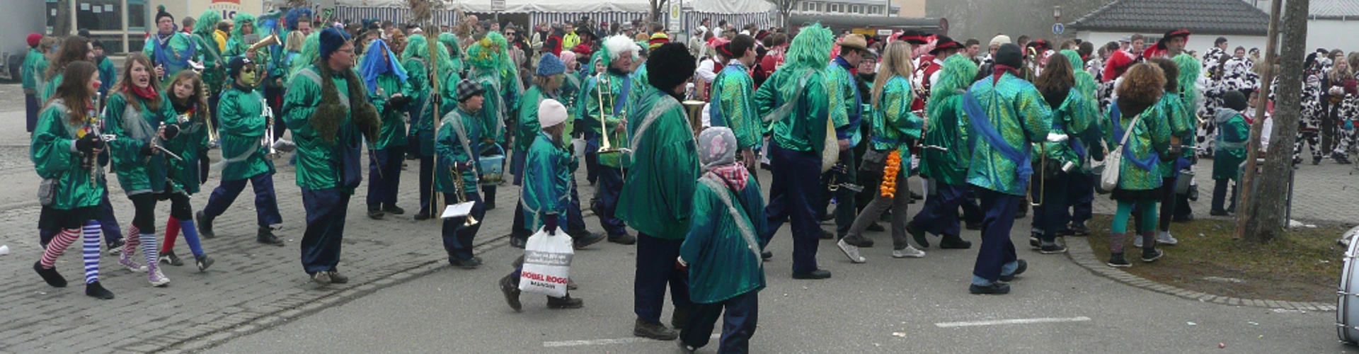 hd_fasnet2011_wald